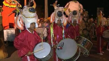 Bom Dia Paraíba Desfile de bumba meu boi reuniu centenas de pessoas