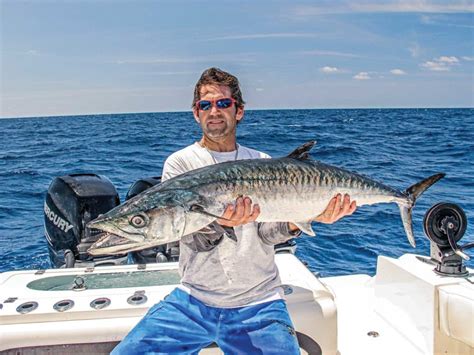 Tackle And Techniques To Catch Trophy Kingfish Salt Water Sportsman