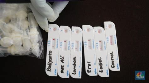 pahami   baca hasil test antigen