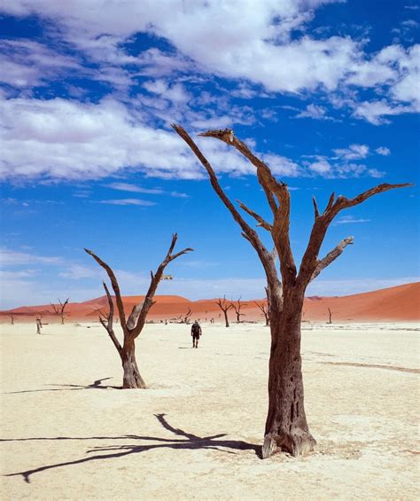 Namibia Rundreisen Selbstfahrer Individuell Im Mietwagen