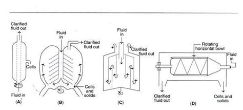 Downstream Processing Steps Biology Notes Online