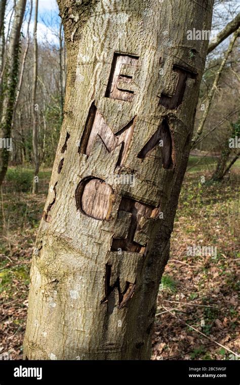 Wood Carved Tree High Resolution Stock Photography And Images Alamy