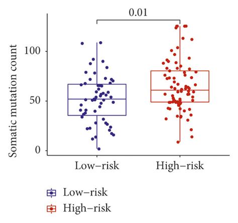 Distribution Of Somatic Cumulative Mutations In The High And Low Risk