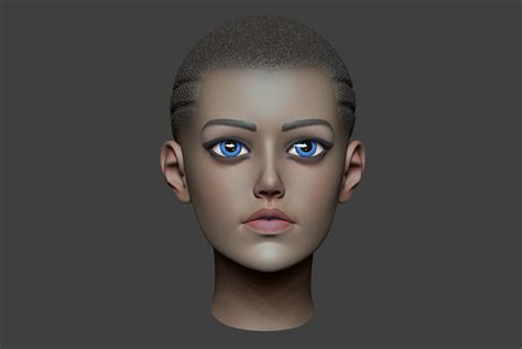 Woman Head 3d Model 29 Obj Ztl Free3d