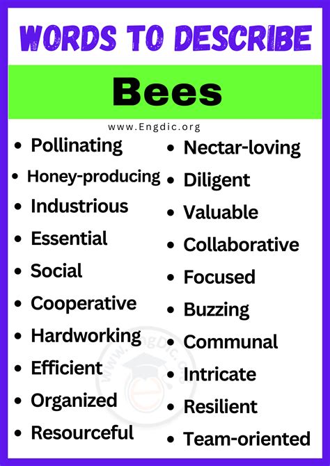 Best Words To Describe Bees Adjectives For Bees Engdic