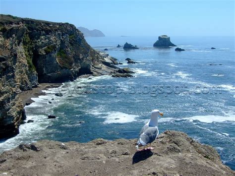 where you stop, nobody knows: 2010