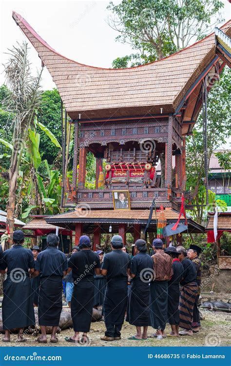 Entierro Tradicional En Tana Toraja Imagen Editorial Imagen De Escena