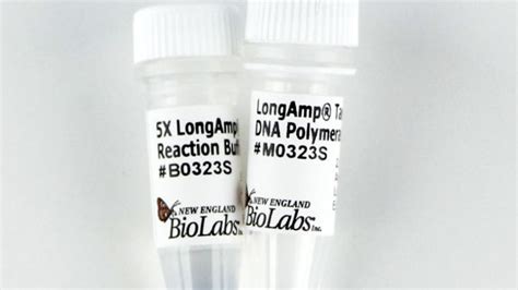 RSC EStore L LongAmp Taq DNA Polymerase