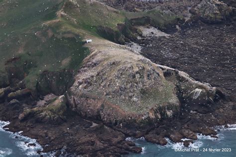 Perros Guirec Cette fois c est fait la réserve des Sept Îles étendue