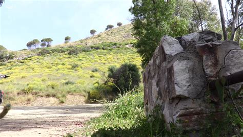 Mila Azul Wild Passion W B Scene Porn Pic