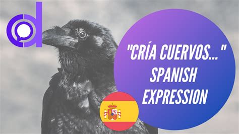 Cria Cuervos Y Te Sacaran Los Ojos Spanish Expression Explained Youtube