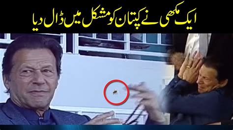 Kaptan Ko Ek Makhi Ny Mushkil MaiN Daal Dia Imran Khan Vs Makhi YouTube