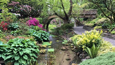 Crystal Springs Rhododendron Garden Southeast Portlands Botanical