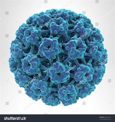 Human Papillomavirus Type Isolated On White Background Hpv Which