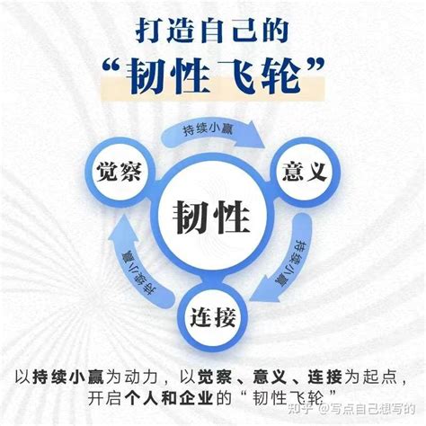 在不确定时代，打造自己的“韧性飞轮” 知乎