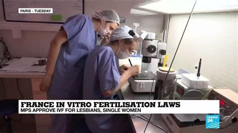 France Mps Approve In Vitro Fertilisations For Lesbians Single Women