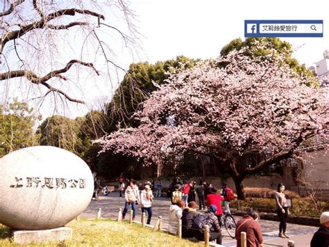 東京賞櫻》上野恩賜公園賞櫻喝星巴克櫻花草莓拿鐵 艾莉絲愛旅行