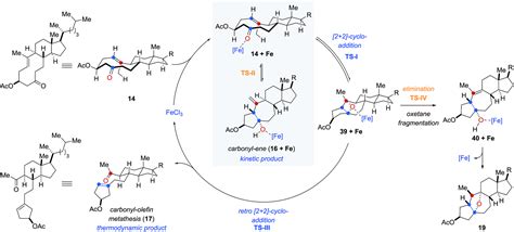 Catalytic Transannular Carbonyl Olefin Metathesis Reactions Chemical