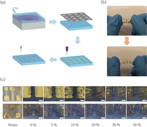 A Schematic Illustration Of The Fabrication Process Of Biomimicking