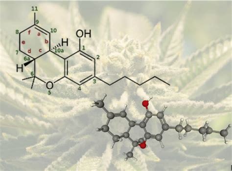 Delta 8 and Other Isomers of THC - Vermont Organic Science