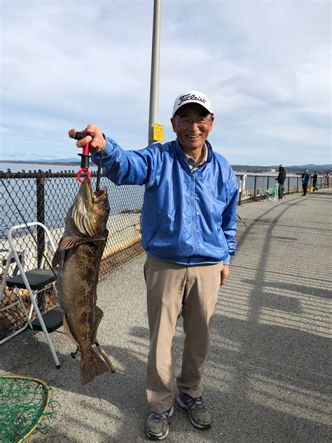 Lingcod - Pier Fishing in California