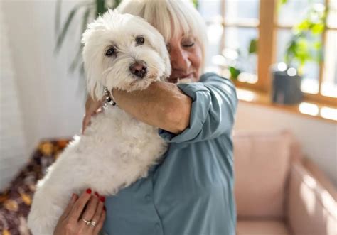 Idosos Que Cuidam De Cachorros T M Menos Risco De Desenvolver