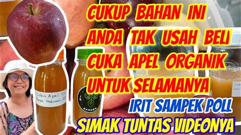 Membuat Cuka Apel Sendiri Di Rumah Hanya Dengan 3 Bahan Mudah Dan