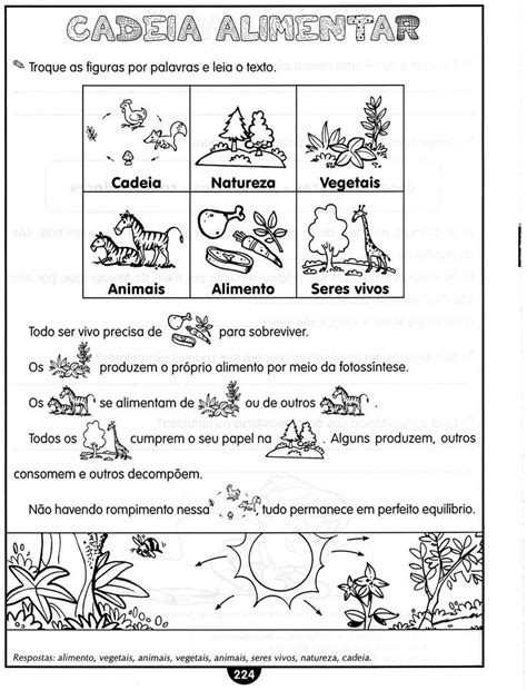 D Escola Atividades Para E Ano Atividades De Ci Ncia Cadeia