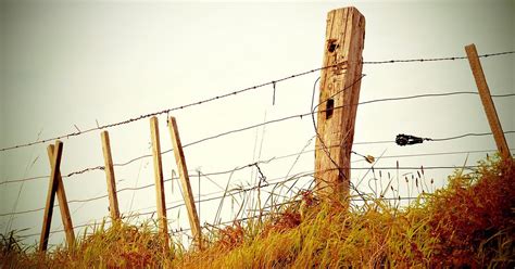 Fence Line The Typical Wood Post And Barbed Wire Barrier Photograph By