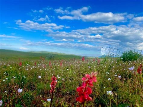 Kitulo National Park On Instagram Tis The Season To See Flowers