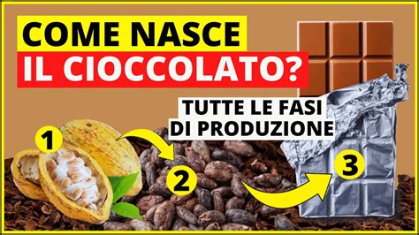 Dalla Fava Di Cacao Al Cioccolato Come Viene Fatto Il Cioccolato