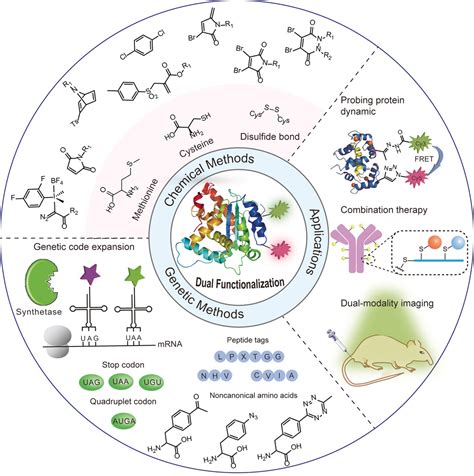 Contemporary Approaches For Siteselective Dual Functionalization Of