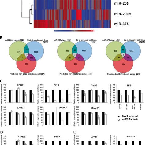 Integrative Analysis Of Mrna And Mirna Expression In Breast Cancer