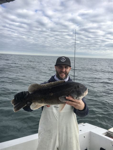 Discover The Thrills Of Tautog Fishing On Cape Cod Cambo Fishing Charters