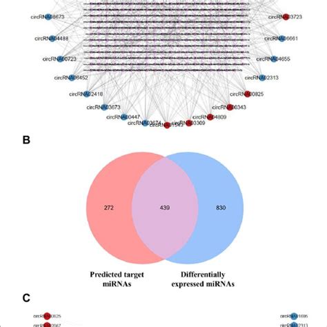 Expression Profiles Of CircRNAs In 5 FAD Mice And WT Mice A