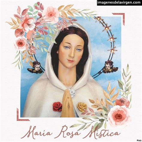 imagenes maria rosa mistica 3 Imágenes de la Vírgen