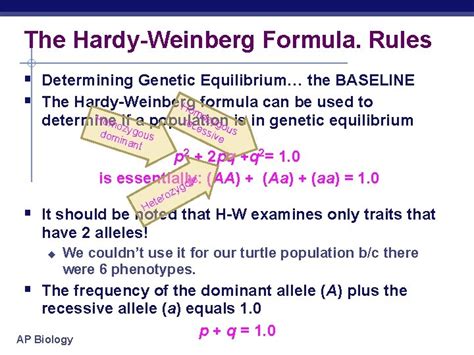 Measuring Evolution Of Populations Hardy Weinberg AP Biology