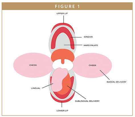 BUCCAL FILMS - Better Drug Release & Patient Experiences With Buccal Films