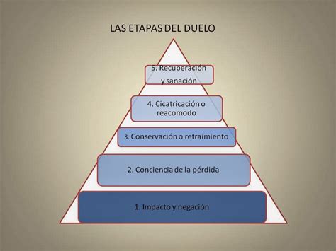 Duelo Etapas Del Duelo