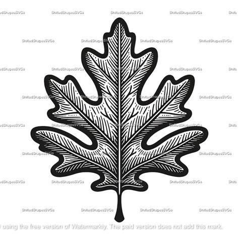 Oak Leaf Svg Bundle Etsy