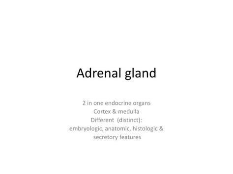 Ppt Adrenal Gland Powerpoint Presentation Free Download Id1876937