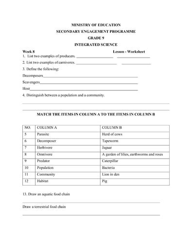 Grade 9 Integrated Science Week 8 Lesson 1 And 2 Worksheet 1 And Answer