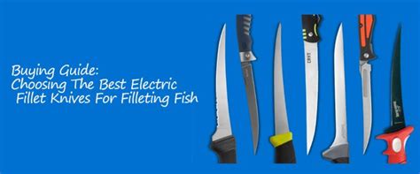 Best 8 Electric Fish Fillet Knives Review 2023 Updated