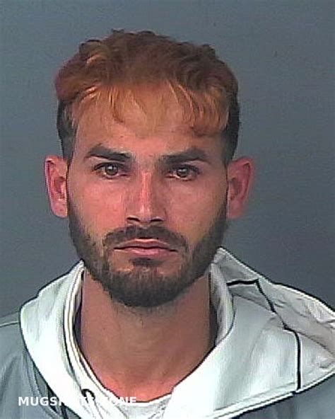 Vilar Pacheco Andres Hernando County Mugshots Zone