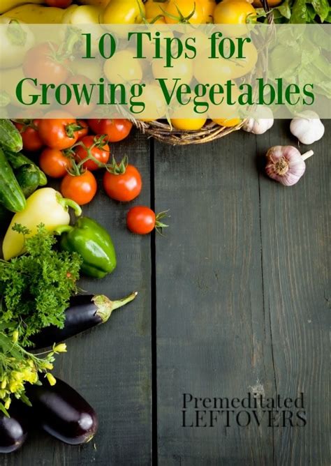 10 Tips for Growing Vegetables