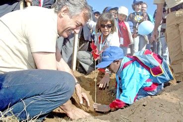 Espaço Aberto Uma Nova Miranda Reflorestação Avança na Serra da Lousã