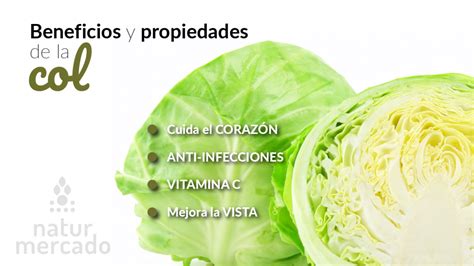 Alimentos Col Propiedades Beneficios Y Su Uso En La C