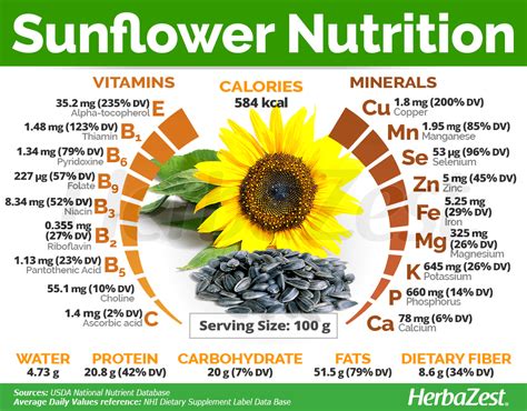 Sunflower Herbazest