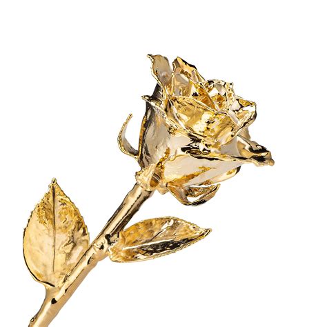 24k Gold Dipped Forever Rose The Forever Rose