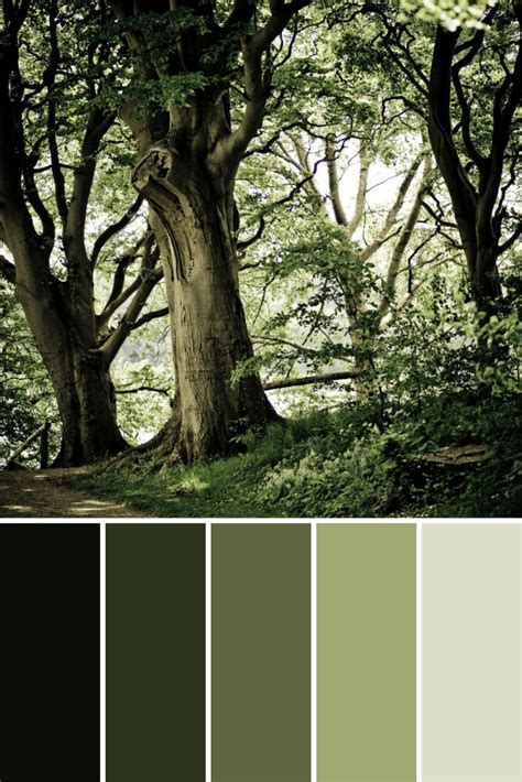 Tree Color Palettes - This Growing Home | Nature color palette, Earth ...